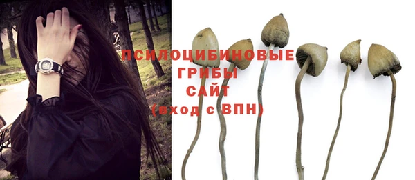 хмурый Зеленодольск