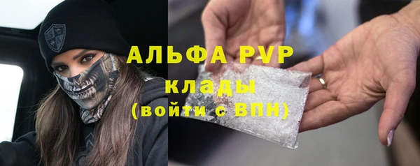 PSILOCYBIN Иннополис