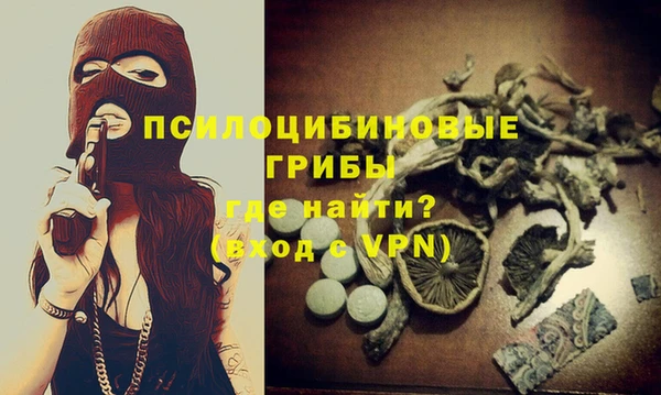 PSILOCYBIN Иннополис