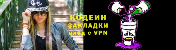 крисы Билибино