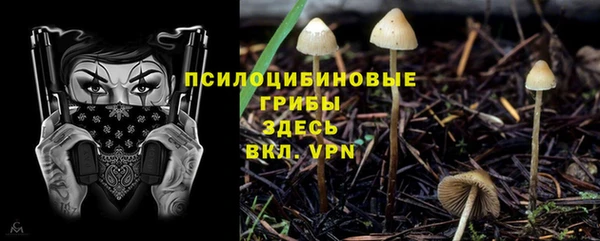хмурый Зеленодольск